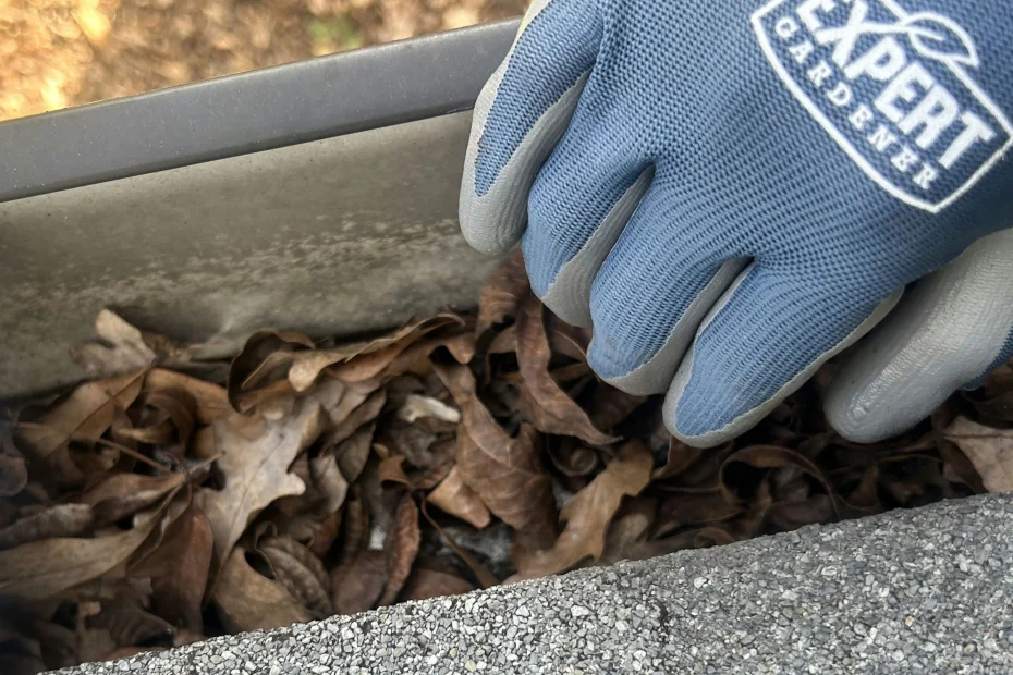 Gutter Cleaning Green Cove Springs FL