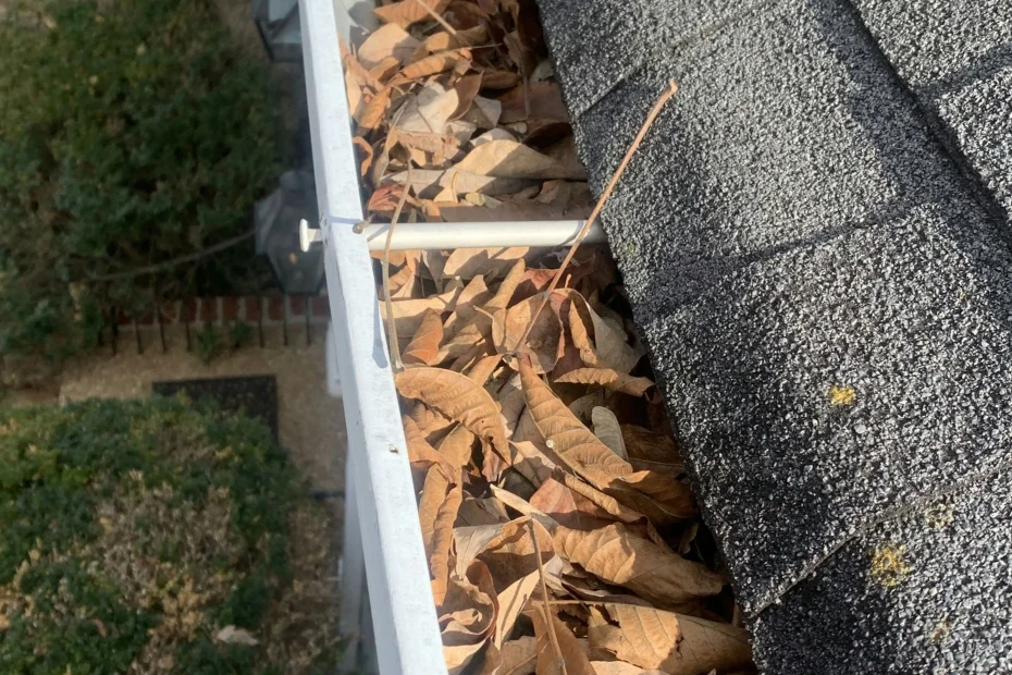 Gutter Cleaning Green Cove Springs FL