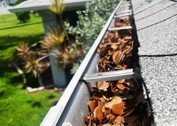 Gutter Cleaning Green Cove Springs FL home page